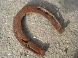 Quand le cheval se mjuge il pose son postrieur * :