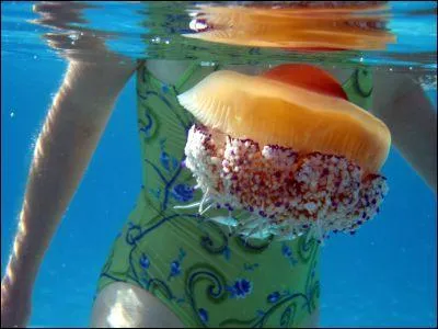 On ne peut pas dire de ce fabuleux acteur qu'il est un marin d'eau douce. Passionn par la mer et l'aventure, il croque la vie et n'est pas ridicule devant les caprices d'un fleuve :