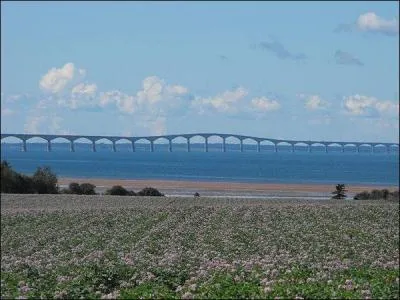 Quelle longueur fait le pont de la Confdration ?
