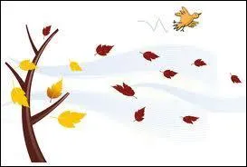 Combien de vents devons-nous tre pour faire un beau canap ?