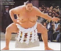 Quel est le nom du sport de lutte caractris par le gabarit des lutteurs ?