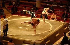 Qui combat sur un dohyo, plate-forme circulaire faite d'argile tasse, au centre d'une aire carre ?