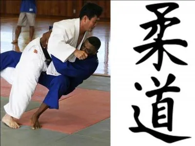 Quel est le sport de combat, bas sur la souplesse et la vitesse, qui consiste  dsquilibrer son adversaire ?