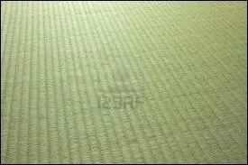 Quel est le nom du tapis en paille de riz servant  la pratique du judo ?