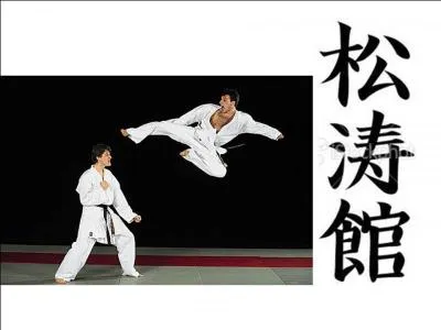 Quel est le sport de combat et art martial d'origine japonaise qui vise  mettre son adversaire hors de combat sans que les coups l'atteignent ?