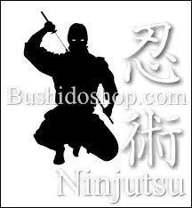 Quel art pratiquent les ninjas ?
