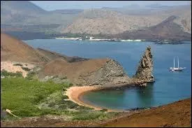 Quel animal trouve-t-on sur les clbres les Galapagos ?