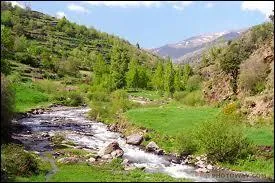 Cite 3 noms d'tats diffrents :