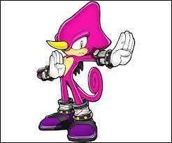 Qui est ce camlon (on ne dirait pas) violet ?