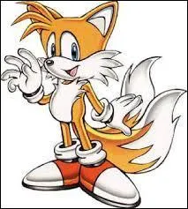 Qui est ce petit renard qui peut voler avec sa queue ?