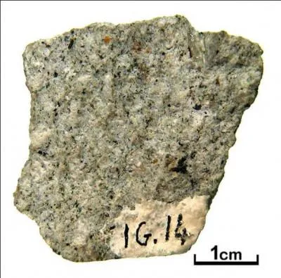 Qu'est ce que la trachyte ?