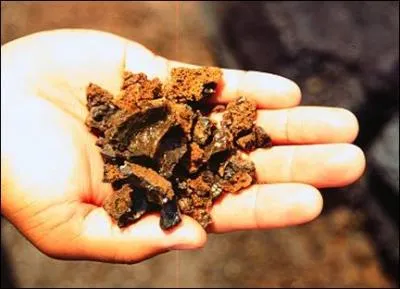 Qu'est ce qu'une tphra ?