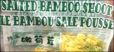 Maintenant, si vous passez par la Chine, vous devez absolument faire un tour dans les champs de bambou, car...