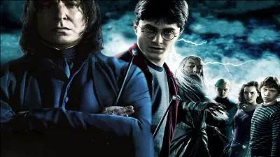 Quel rle joue-t-il dans  Harry Potter  ?
