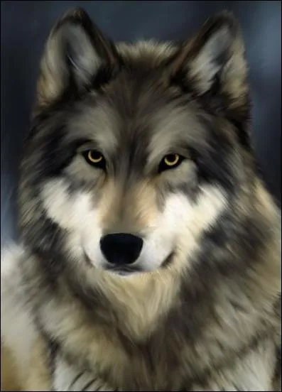 Laquelle de ces espces ressemble le plus au renard ?