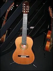 Inutile de vous la prsenter, c'est un :