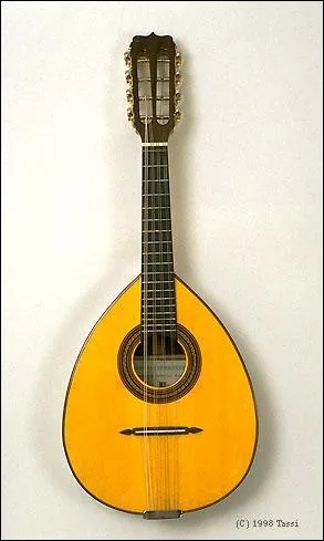 Autre instrument archi-connu, c'est un :