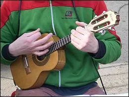 Celui-la aussi, mais il ne possde que 4 cordes, c'est un :