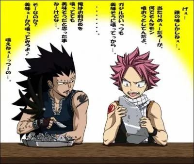 Quel est l'lment de Gajil ?