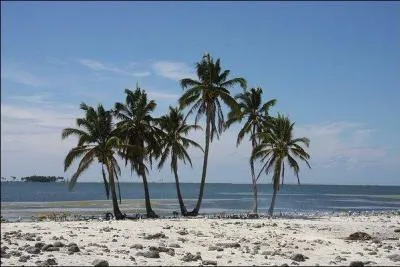 Le lagon de Clipperton est en France :