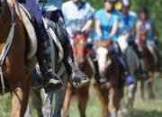 Quiz Endurance Equestre