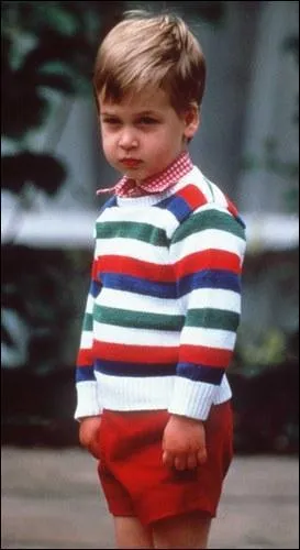 Vous le connaissez certainement, ce petit prince d'Angleterre a t plong trs rapidement dans l'univers du gouvernement. Qui est-ce ?