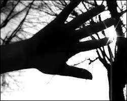 Qui chantait  Laisse moi devenir l'ombre de ton ombre, l'ombre de ta main, l'ombre de ton chien  ?