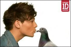 Comment s'appelait le pigeon de Louis � X-Factor ?