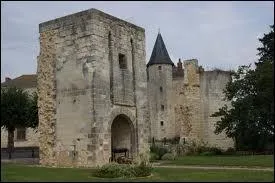 Pour finir, je vais  Sainte-Maure-de-Touraine ( Indre-et-Loire ). Cette ville est chef-lieu ...