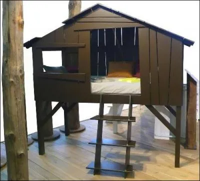 Quel est le nom de ce lit spcial robinsons ?