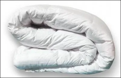 Comment s'appelle cet accessoire ?