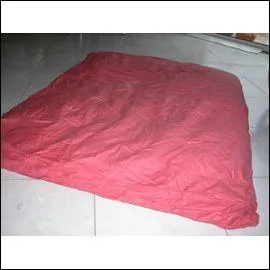 Quel est le nom de cet objet plein de plumes ?