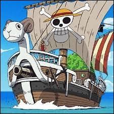 Comment s'appelle le premier bateau pirate de l'quipage du Chapeau de paille ?