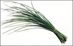 Et pour finir , un aromate qui sera utilis pour vos salades, sauces, potages et omelettes !