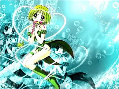 Quelle(s) information(s) est/sont exacte(s) ? (Q3)