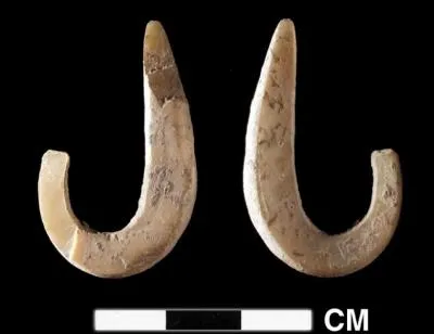 De quelle priode datent les plus anciens hameons dcouverts jusqu' prsent ?