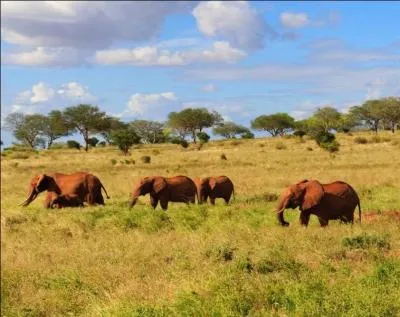 Quelle est la capitale l�gislative de l'Afrique du Sud ?