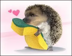 Quant  Ernie le hrisson, il est tomb amoureux d'une ponge...