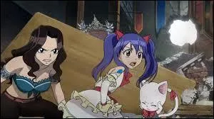 Que se passe-t-il sur l'image ?