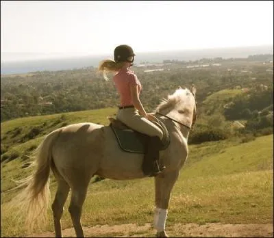 Laquelle n'est pas une activit questre ?