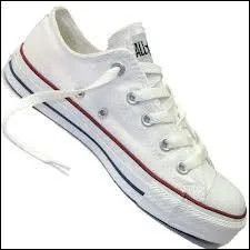 Quelle est cette chaussure ?