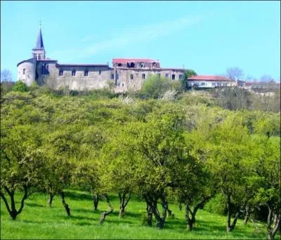 Quel est ce beau village de l'est de la France, dominant depuis son promontoire rocheux la Wovre et ayant appartenu aux vques de Verdun ?