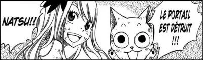 Scan 336, qui et combien de fois dit  Natsu  ?