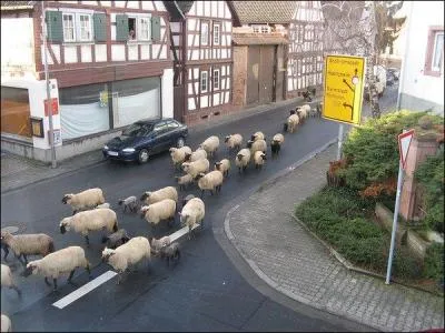 L'Allemagne est le plus grand pays d'Europe :