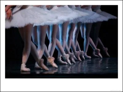 Il faut un tutu de danse pour la ...