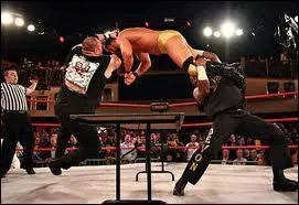 Comment s'appelle leur tag team finisher ?