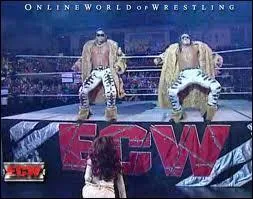 Qui taient les membres de MNM ?