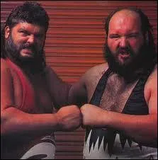 Qui taient les membres des Naturals Disasters ?