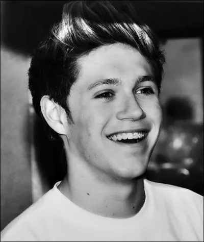 Niall est un grand mangeur de :