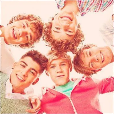 Quelle est la chanteuse que les boys ont connue pendant X-Factor ?